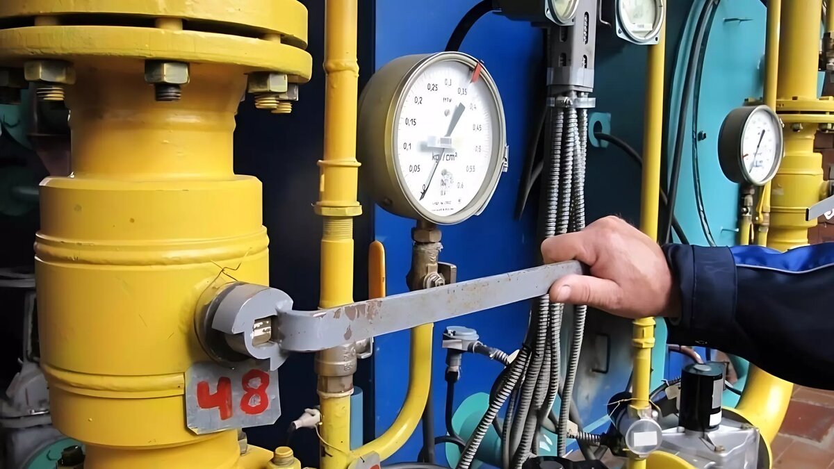     Источник: Дмитрий Чистяков/ВКонтакте