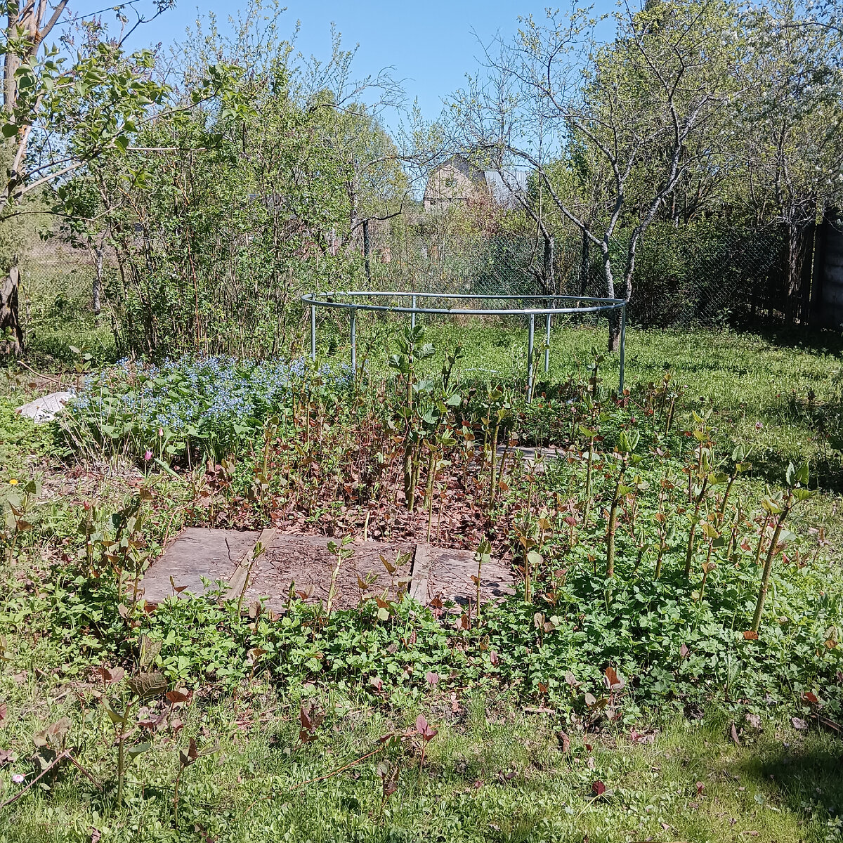 Горец только вылез. Площадка приблизительно 15 кв.м.