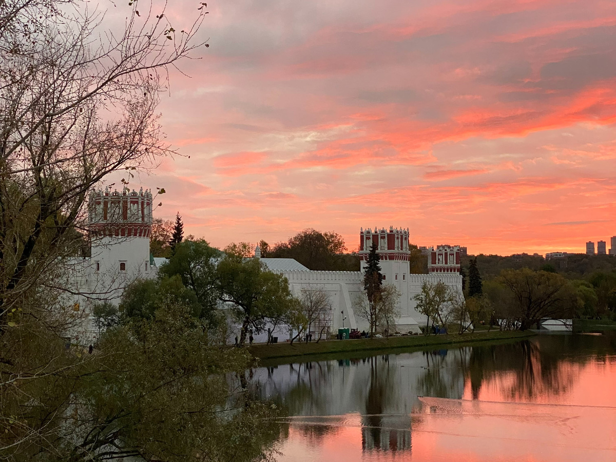 Фото автора канала. Новодевичьи пруды.