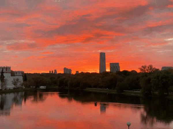 Фото автора канала. Новодевичьи пруды.