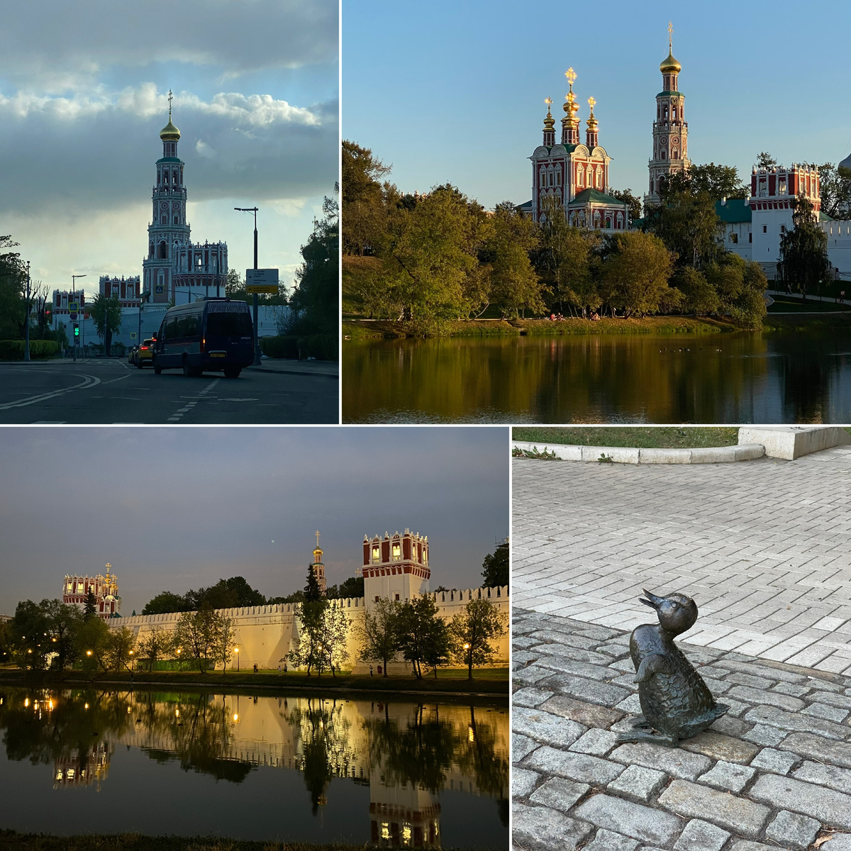 Фото автора канала. Новодевичьи пруды.