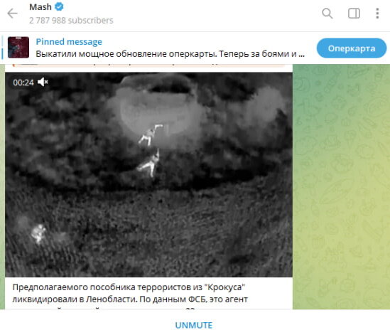    Скриншот Mash/Telegram