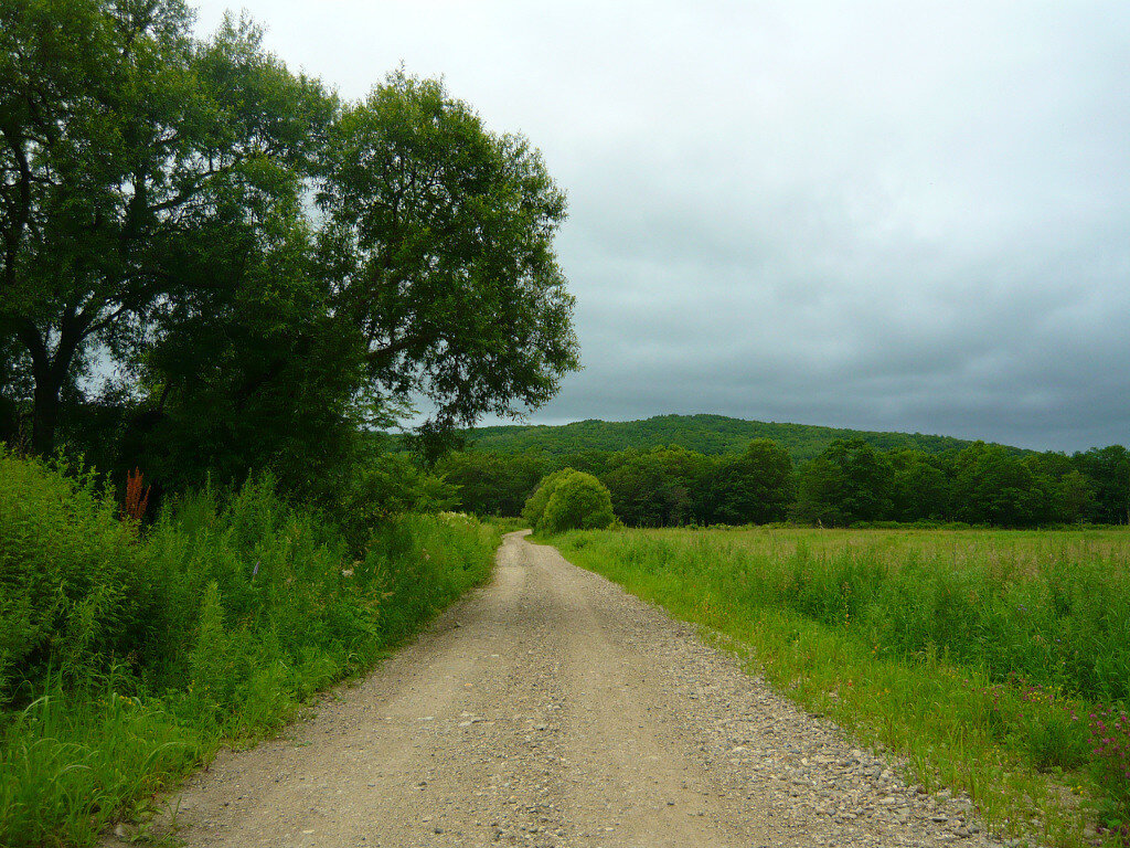 Дорога длинною в жизнь