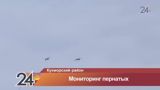 🤧 С приходом весны в Татарстане возросла опасность появления птичьего гриппа