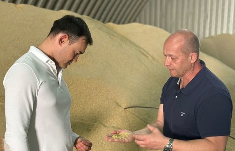    Калмыкия увеличивает на 8 процентов рисоводческие площади в сезоне 2024