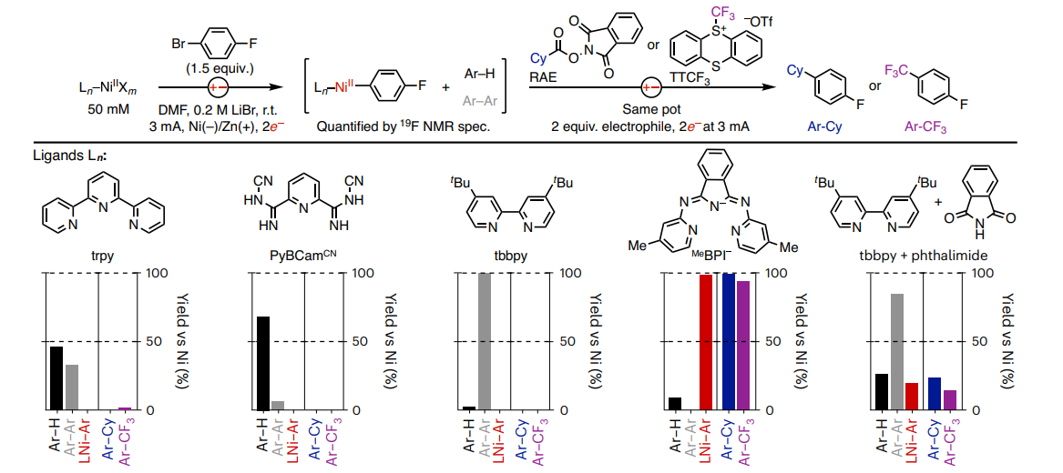   Long P. Dinh et al. / Nature Chemistry, 2024
