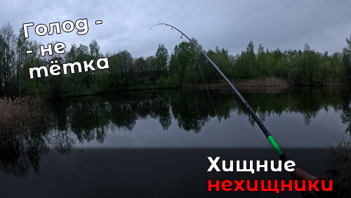 Рыбалка дождливым утром: Fish KayuKer открывает счет