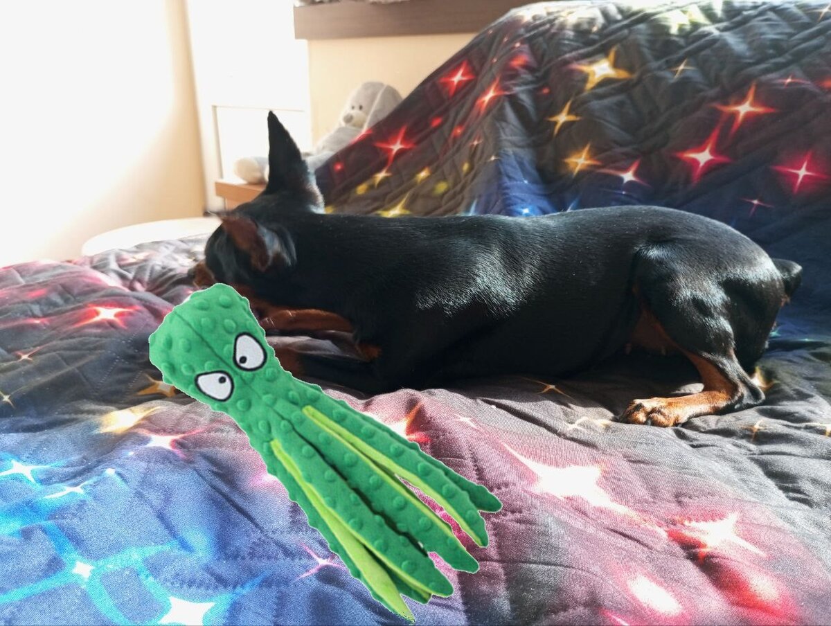 На этот раз осьминог зелёный 🤭