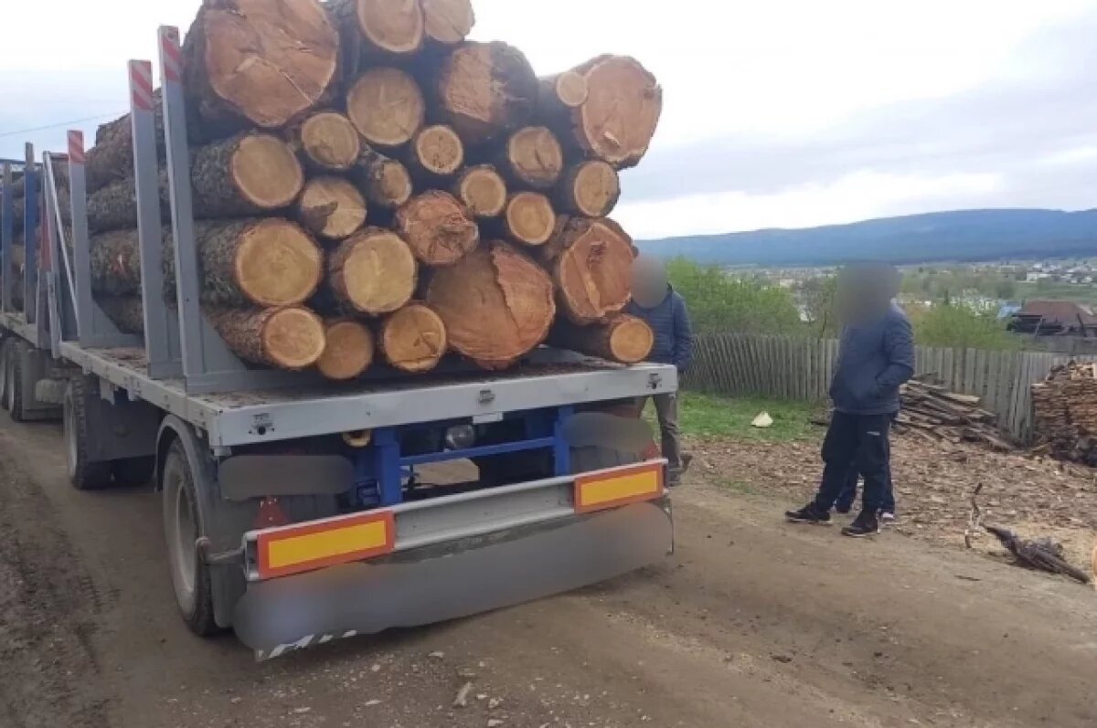    В Башкирии шестилетний мальчик погиб под колесами лесовоза