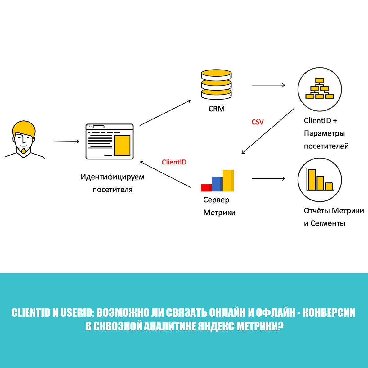 ClientID и UserID: возможно ли связать онлайн и офлайн - конверсии в  сквозной аналитике Яндекс Метрики? | Записки маркетолога | Дзен