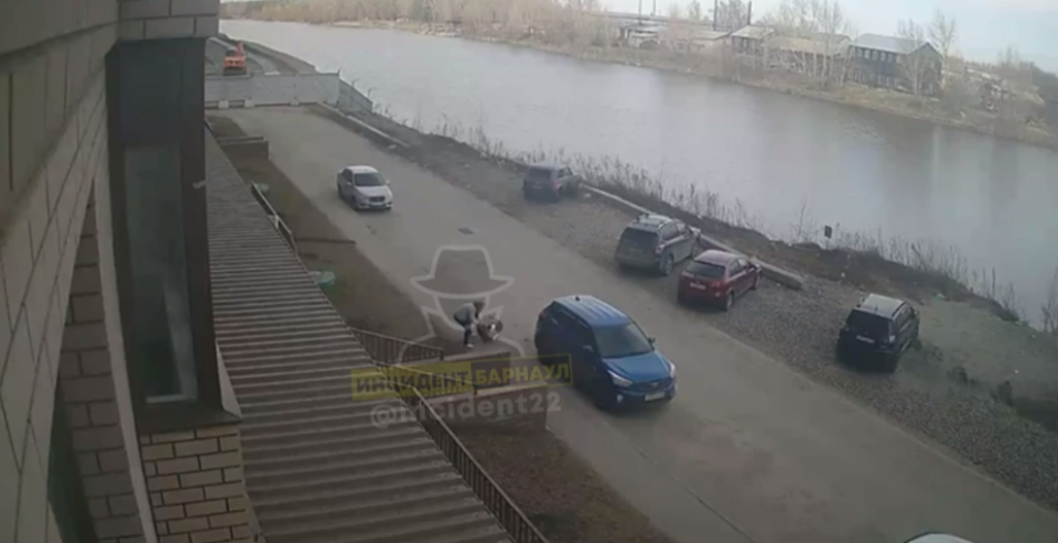    Нападение на собаку. Источник: Инцидент Барнаул