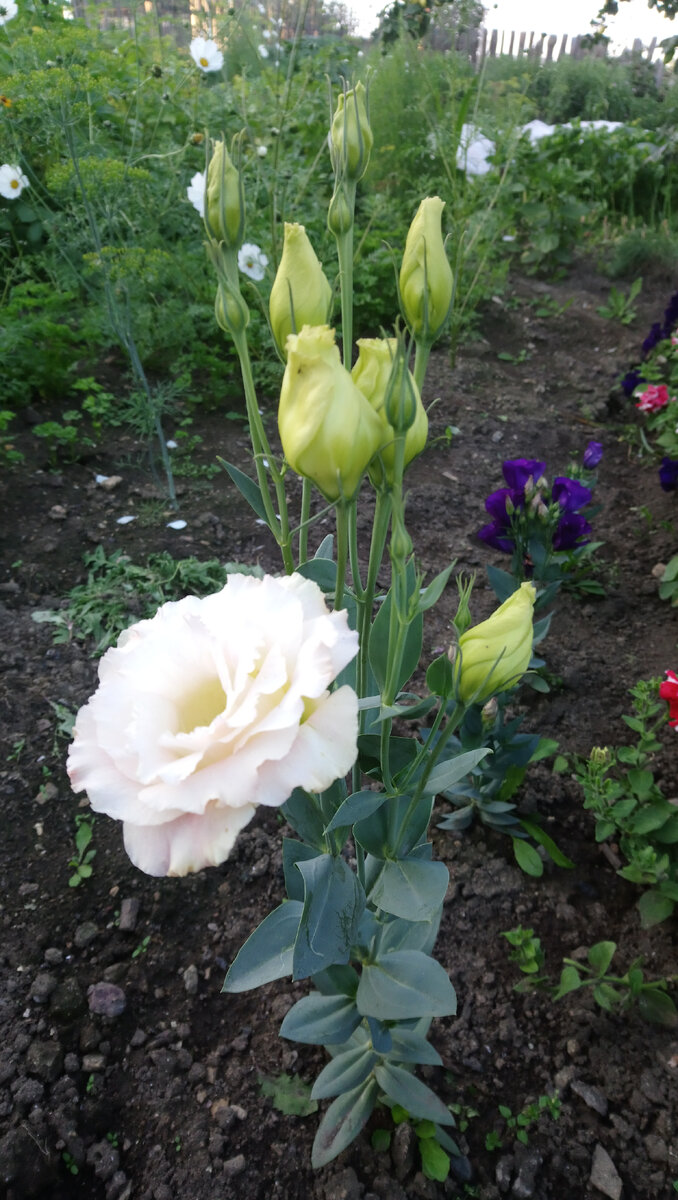 В данной статье использованы только личные фотографии автора.