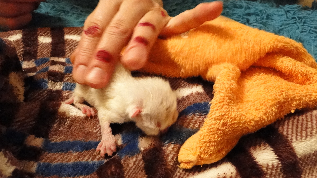 Фото из личного архива