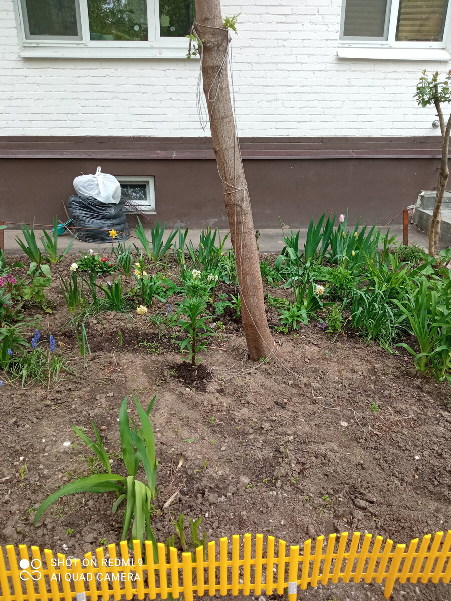 Жёлтый пластмассовый заборчик  Фото Мурзилки