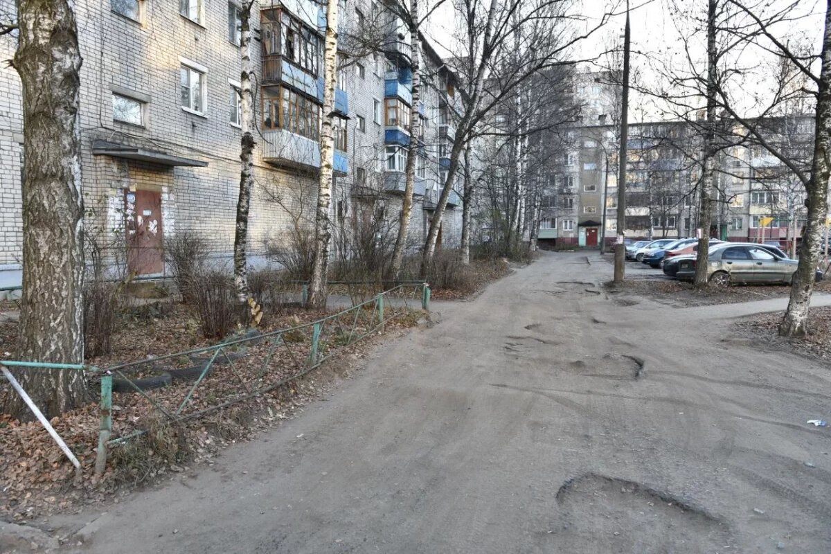    В Ярославле власти отказались убирать «подснежники» с территорий дворов
