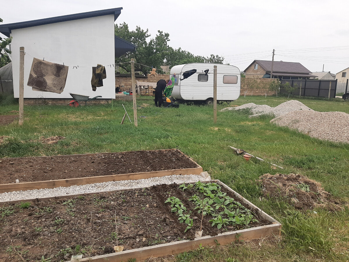 Редиска взошла.