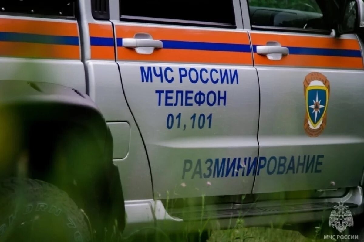    В Севастополе в районе горы Кара-Коба 3 мая уничтожат боеприпасы ВОВ