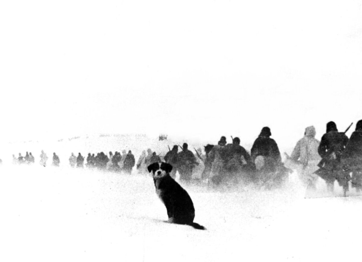 Из открытых источников. 