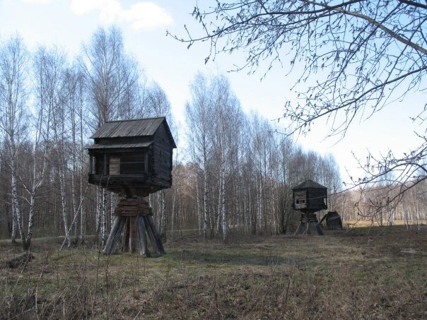 Костромские избы на "курьих" ножках