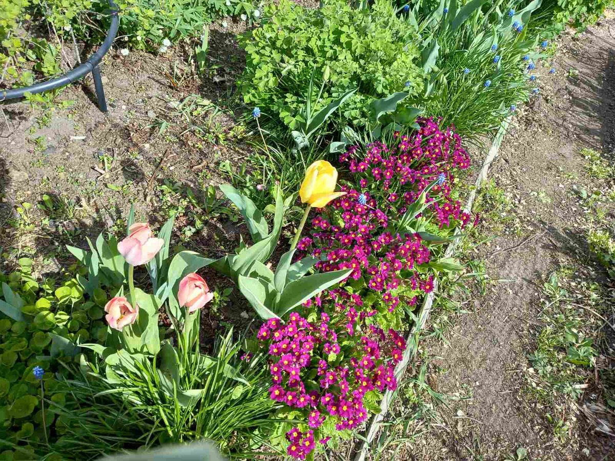 Фото автора. 