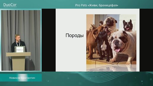 Клуб «Pro Pets». Лекция 5. Живи, брахицефал!