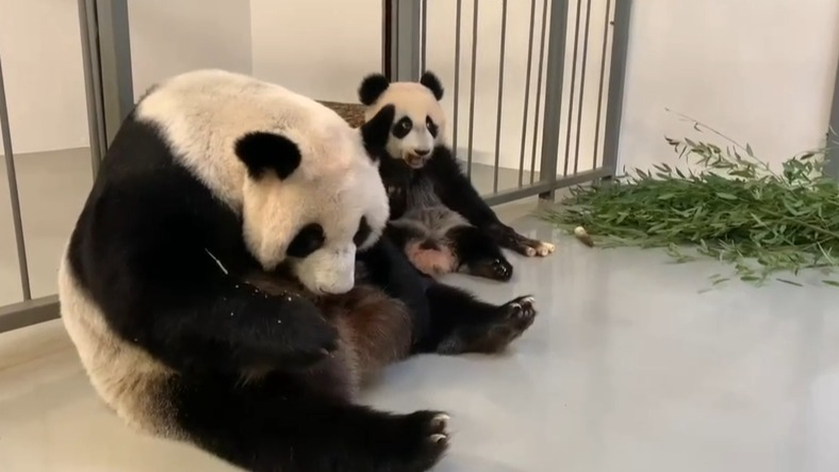    Фото: Telegram / Светлана Акулова