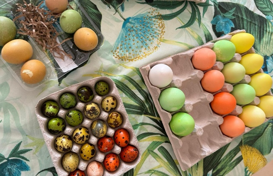 Фото: Медздрав.Инфо/Эльнара Новина