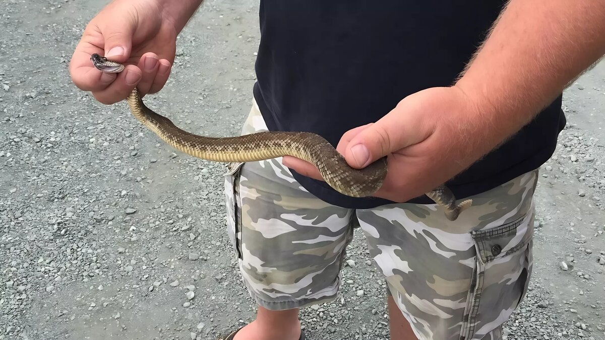     Источник: phere.com