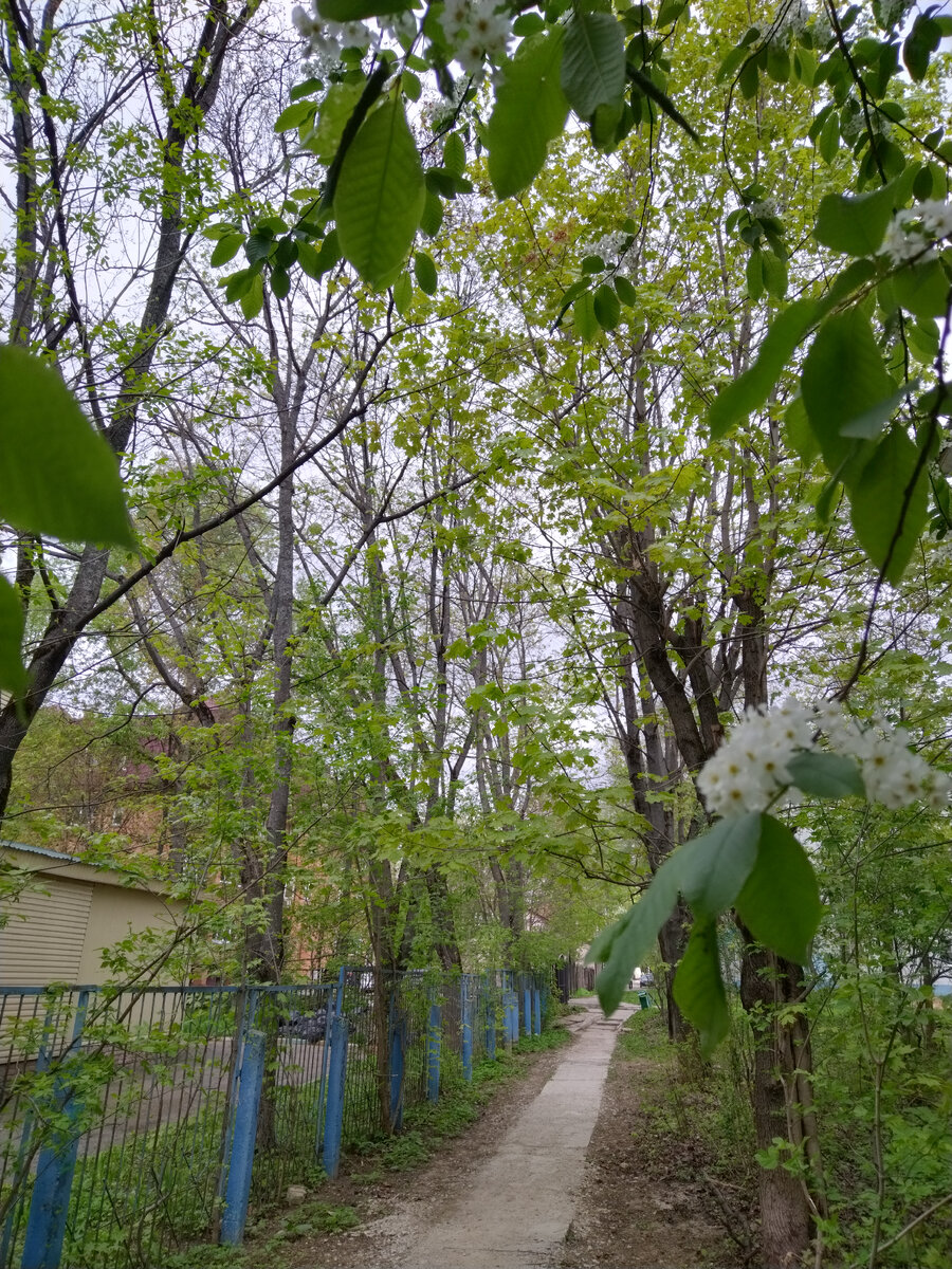 Фото автора