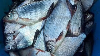 Фото с сайта: https://i.ytimg.com/vi/wa6W36ZPA1I/mqdefault.jpg