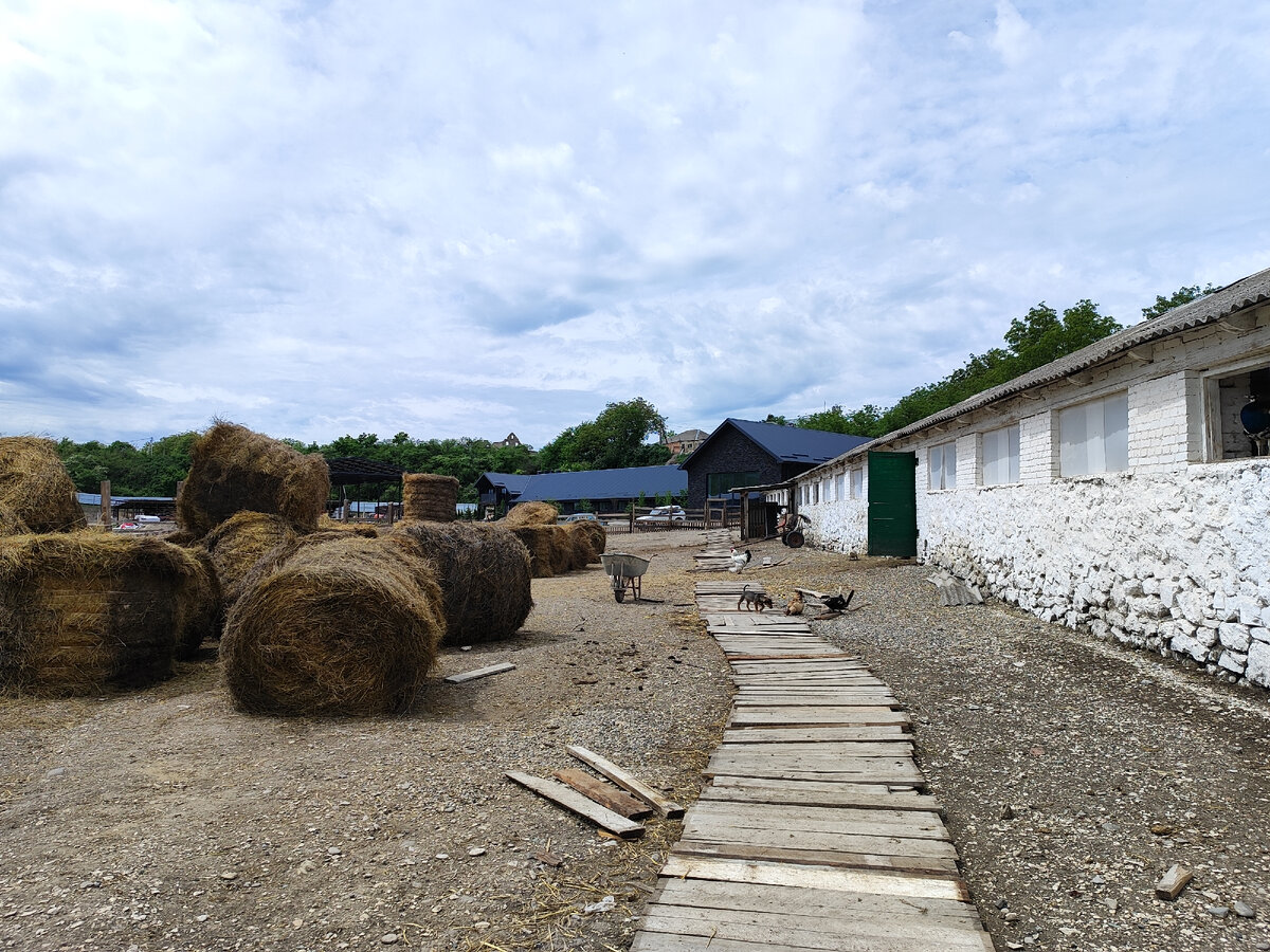 Эко-ферма "Кавказский целитель" (май 2024 года)