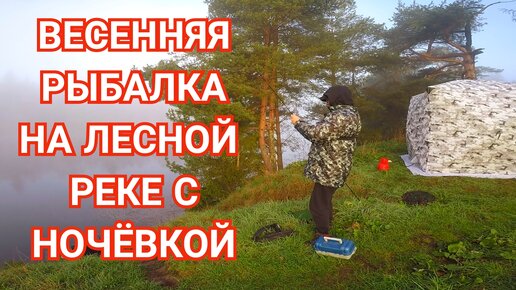 Первая Рыбалка с Ночевкой. Весенняя Природа. Лесная Речка. Рыба Клюет!