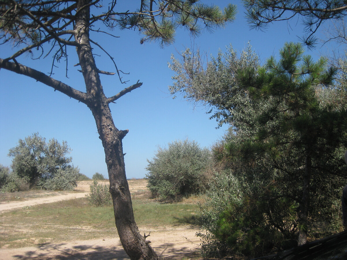 Подъезд от Песочного