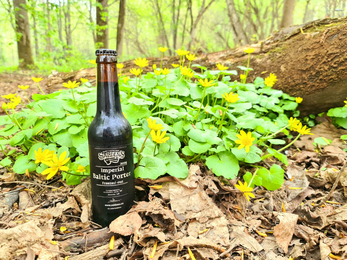 Imperial Baltic Porter, фото автора