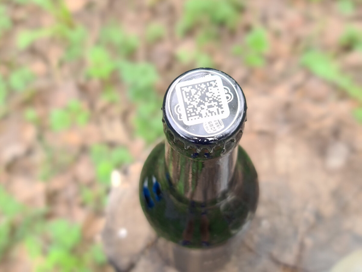 Imperial Baltic Porter, фото автора