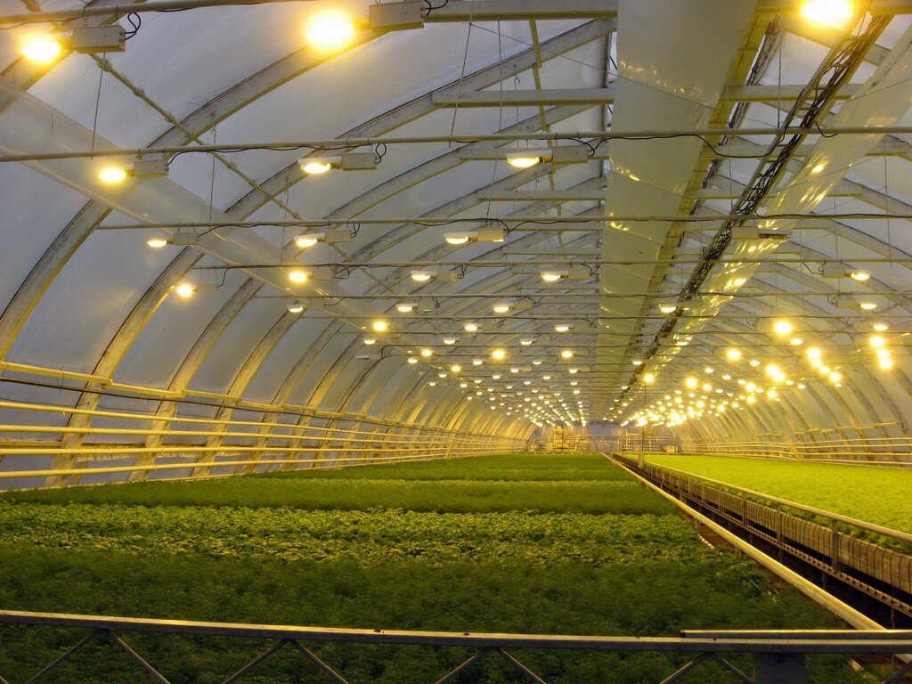 светодиодные светильники в сельском хозяйстве