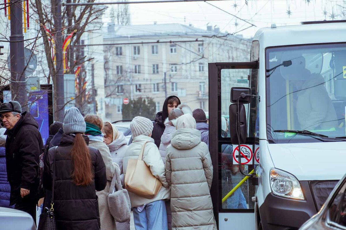 Стало известно о новых изменениях в движении маршрутных автобусов Воронежа  | Горком36 | Воронеж | Дзен