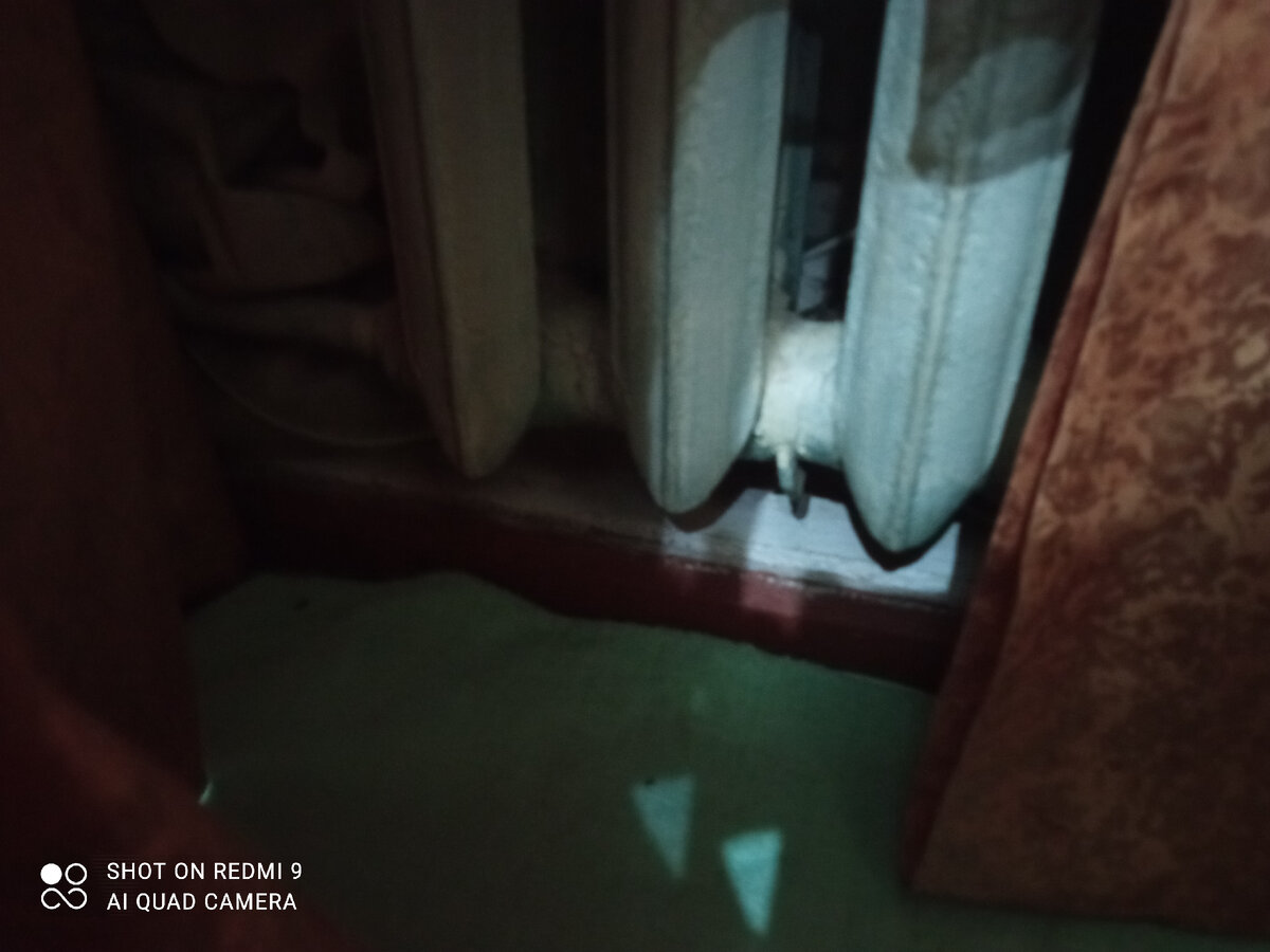 Любимое местечко : под батареей, за шторкой. 