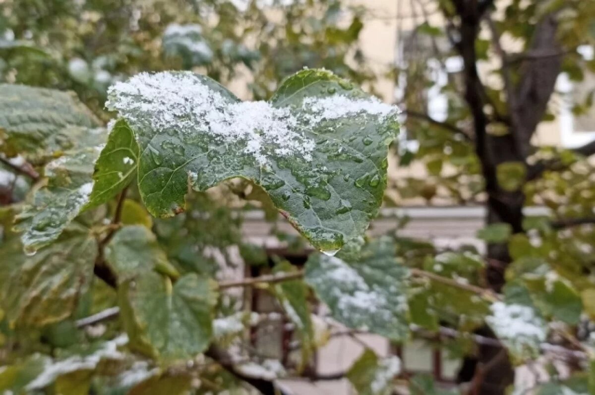    В Оренбуржье в мае пошёл снег