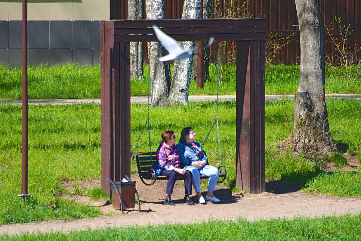 Люди отдыхают на качелях