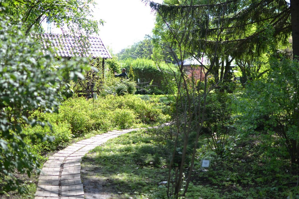 Пензенский ботанический сад. Здесь и далее все фото мои