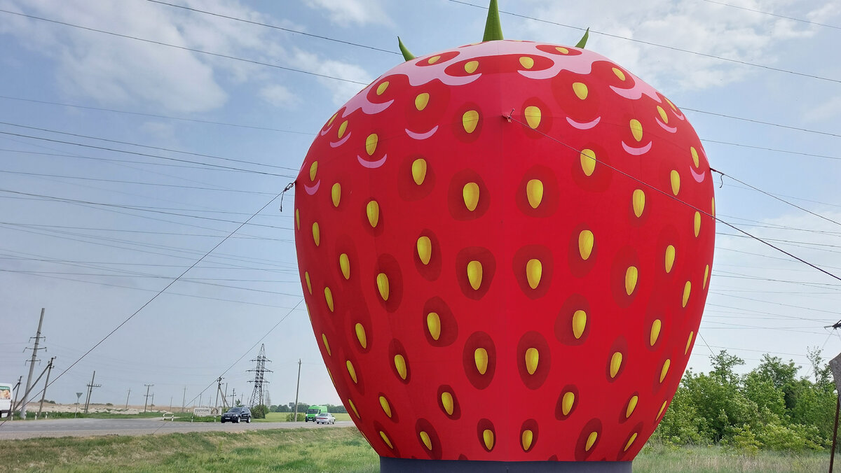 А в Краснодаре уже вовсю сезон клубники начинается😍