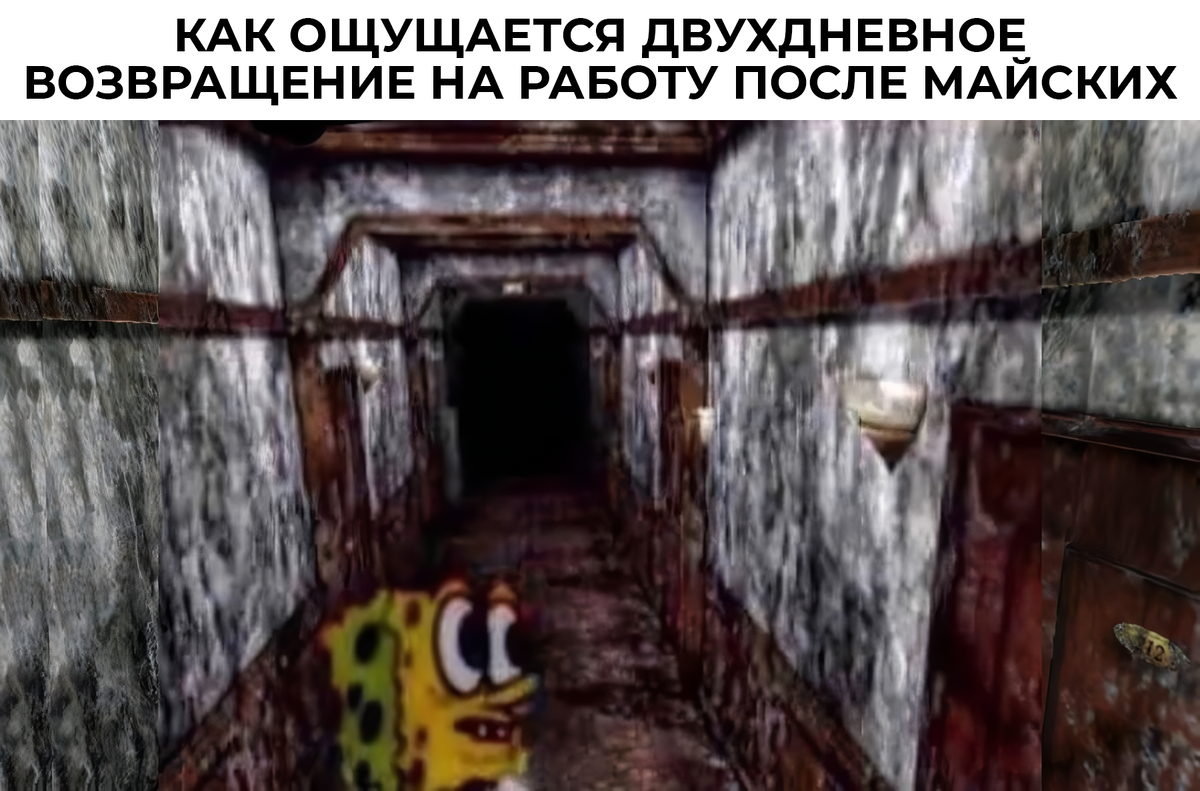 https://avatars.dzeninfra.ru/get-zen_doc/271828/pub_6635418f12b8d648707b9e4b_6636aefa66994836abfd7165/scale_1200
