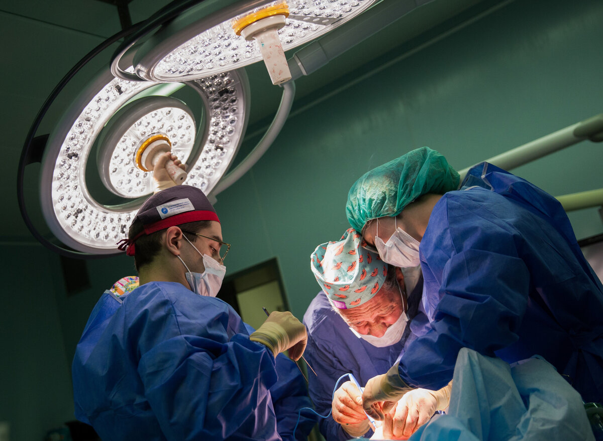 Фото: АГН Москва/Globallookpress