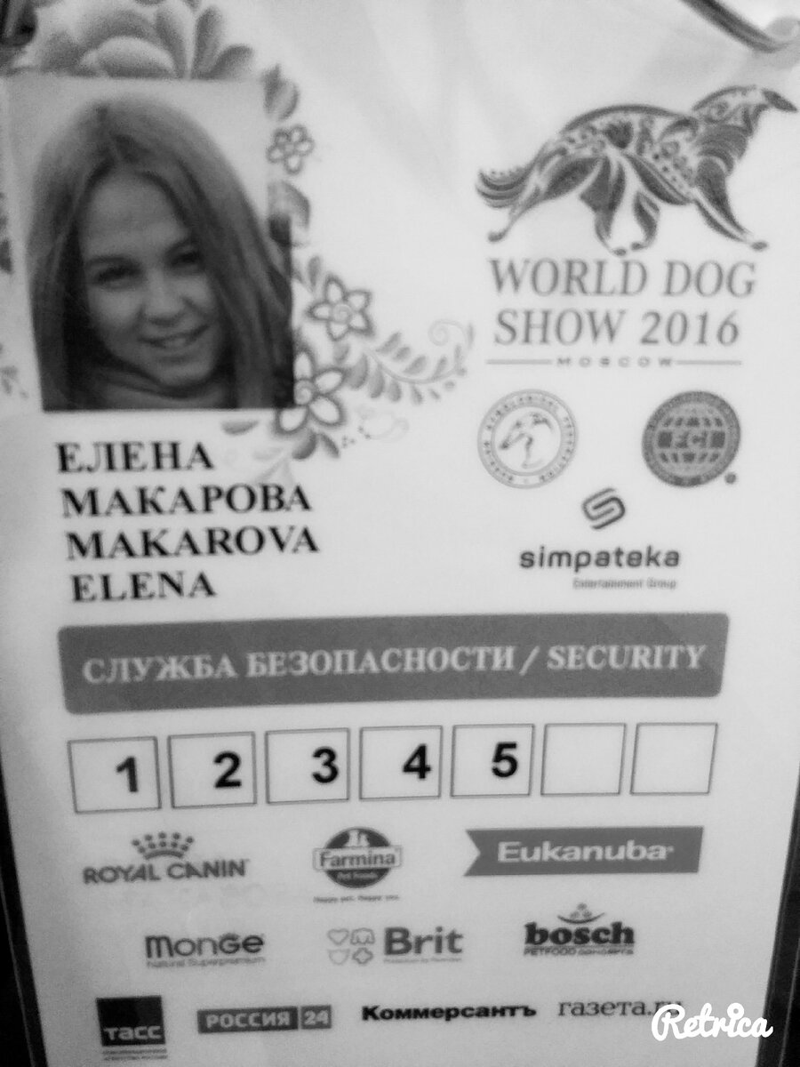 Фоткаться на работе было нельзя, но у меня осталось фото бейджа с одного из мероприятий 