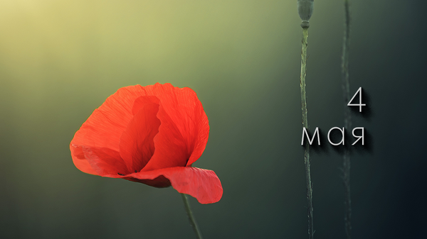    © Photo : Johannes Plenio: Pexels