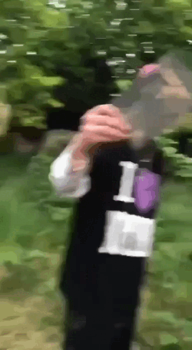 Видео: соцсети