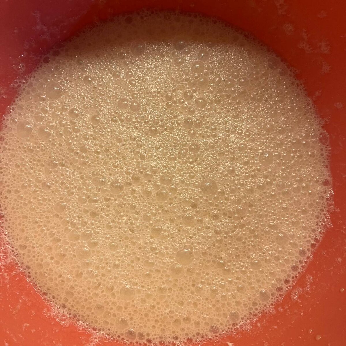 Перемешанная опара