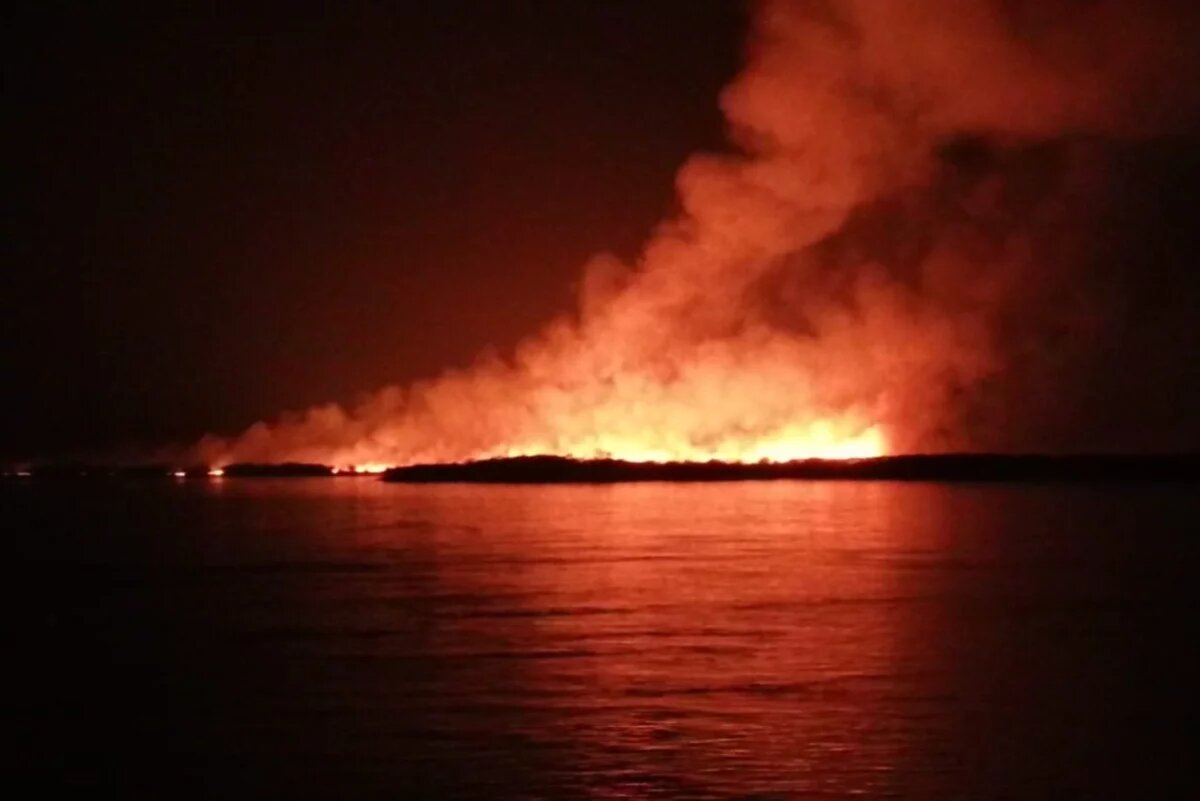    Горящую траву тушили всю ночь на острове под Хабаровском