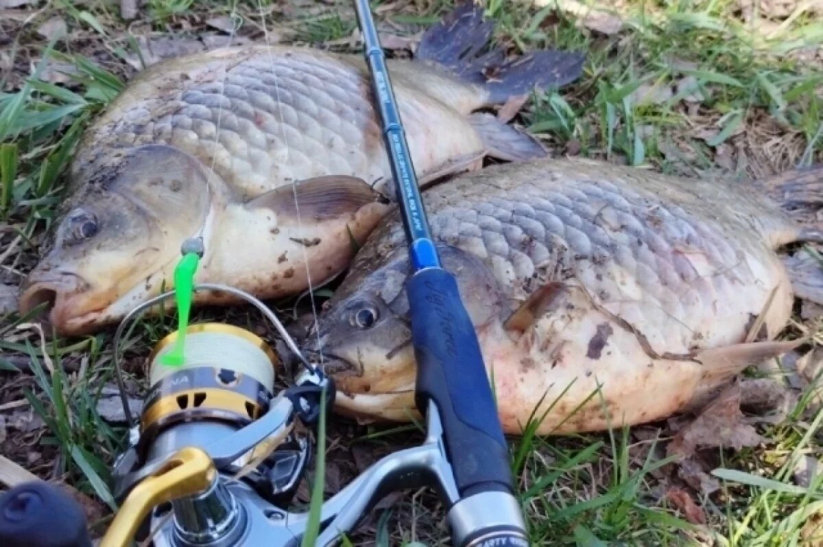    Мир! Труд! Карась!